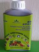 Green World Nutriplant Organic Fertilizer - (one litre)