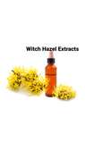 Witch Hazel Extracts