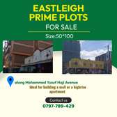 Eastleigh Prime Plots