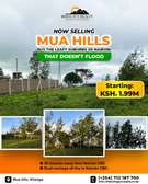 Land at Mua Hills