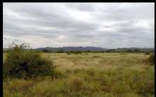 15 plots each for sale near olepolos country club at kisames