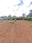 0.5 ac Land in Thome