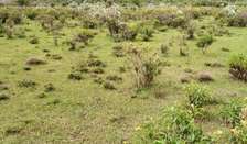 2 Acres Available for Quick Sale at Gilgil