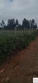 20 ac Land at Moi Ndabi / Maiela