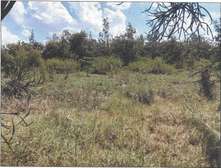 Mixed-use land for sale