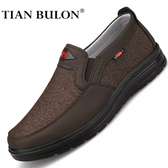 Brown Sports Men's Casual Shoes, Tian Bulon Men canvas