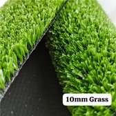 10MM GRASS PERFECT FOR YARDS