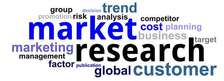 Market / Business Research Services