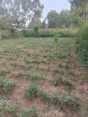 Plot for sale nambale centre with ready title deed