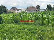 0.1 ha Residential Land at Kikuyu