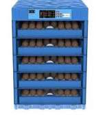 264 egg incubator