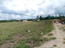 Plots-Mountain View Gardens Nanyuki