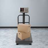 300KG Industrial Platform Postal Weighing Scale Heavy Duty