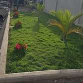 Landscaping & Gardening services