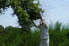 Low Cost Bee Removal - Free Quotes in Minutes. Experienced Technicians Available, 24 Hours Customer Service .