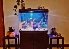 Big Size Fish Aquarium For Sale!!