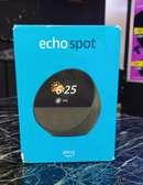 AMAZON ECHO SPOT