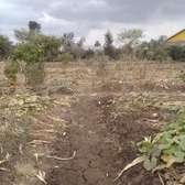 Commercial land for rent