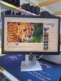 HP EliteDisplay E242 24" IPS Monitor
