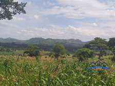 Kagundo road  5 acres 5 km from tarmac 1 m per acre