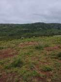 Prime 50*100 ft residential plot for sale in Kikuyu-nguirubi