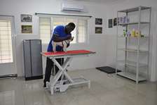 Dog Grooming Service Nairobi - Professional Dog Grooming. .Contact Us Now !!