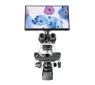 Digital LCD Screen Display microscope