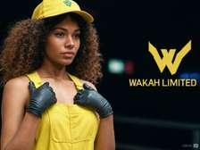 Send Parcels & Cargo Nairobi to Dar es Salaam, Moshi, Arusha