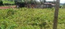 Prime Residential plot for sale in kikuyu, Gikambura