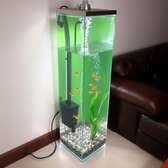 4ft Tower aquariums