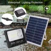 100W Solar Floodlight