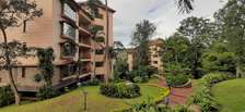 Fully furnished3 bedroom for rent