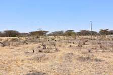 1/8th acre plots in Mitaboni off Kangundo Road