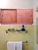 Medicine Storage Cabinet Contemporary Meru Oak Wood