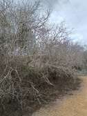 3.5 ha of land for sale at chakama phase II, Malindi