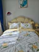 3 Bed Apartment with En Suite in Mlolongo