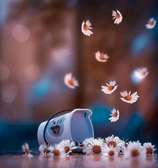 Keen Cleaning & Fumigation Services