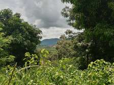 Prime Fertile Land in Ithanga, Murang'a, Near Kakuzi
