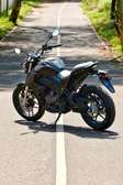 Battlo 250 Naked Motorcycle