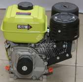 Petrol Engine Levhart LV300