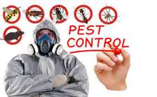 Pest Control & Management Fumigation & Cleaning Services