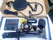 V8 Professional condenser microphone