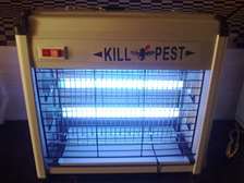 reliable 30w insect killer