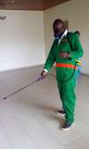 Fumigation and Pest Control Services Nairobi West
