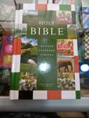 Revised standard version Bible