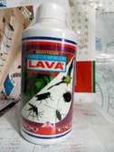 Lava insectcide bottle