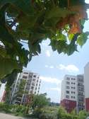 3 Bed Apartment in Ruiru