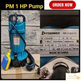 Premier Submersible Pump 1hp