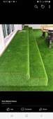 Wonderful grass carpet