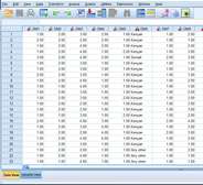 SPSS DATA ANALYSIS FOR MASTERS & PHD FOR KENYAN UNIVERSITIES